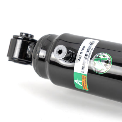 Arnott Industries New Air Suspension Strut AS-5705