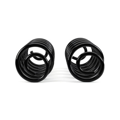 Arnott Industries Air Spring to Coil Spring Conversion Kit C-2285
