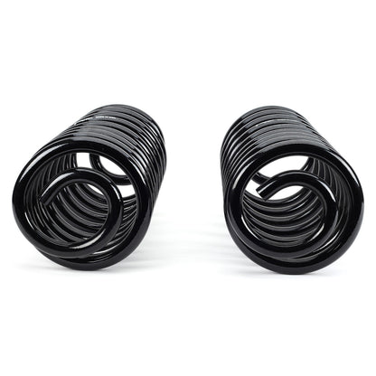 Arnott Industries Air Spring to Coil Spring Conversion Kit C-2988