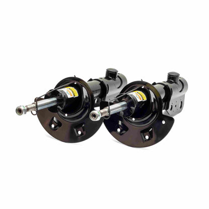 Arnott Industries Suspension Strut SK-2189