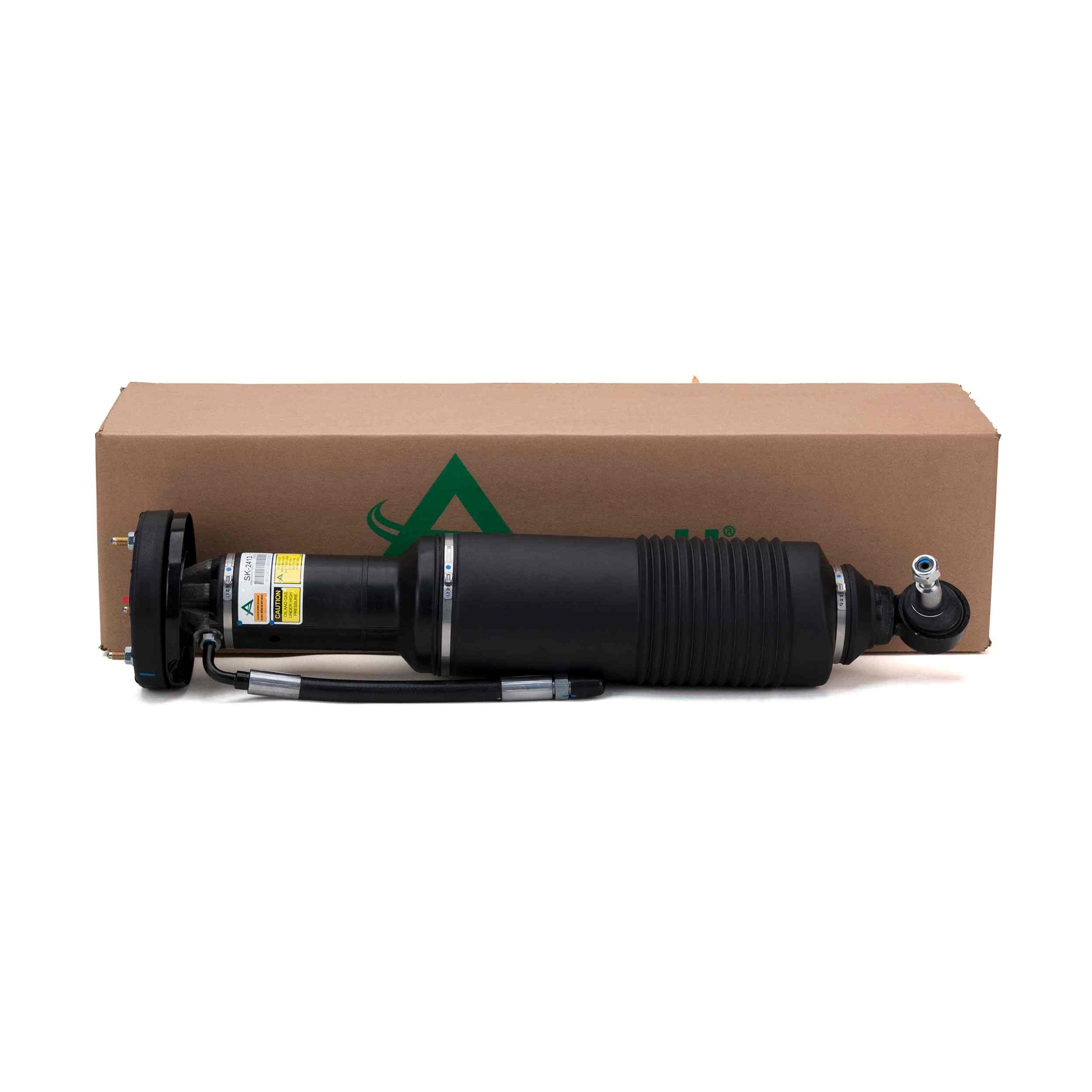 Arnott Industries Suspension Strut Assembly