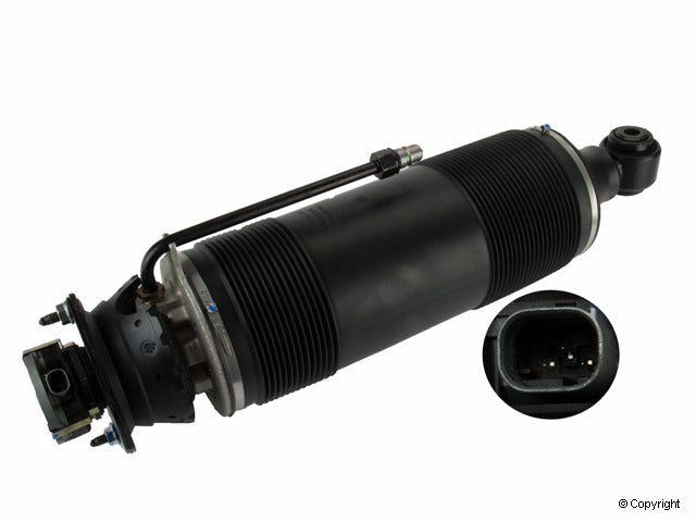 Arnott Industries Suspension Strut Assembly