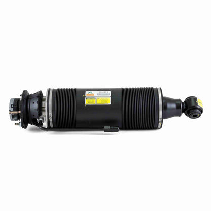 Arnott Industries Suspension Strut Assembly