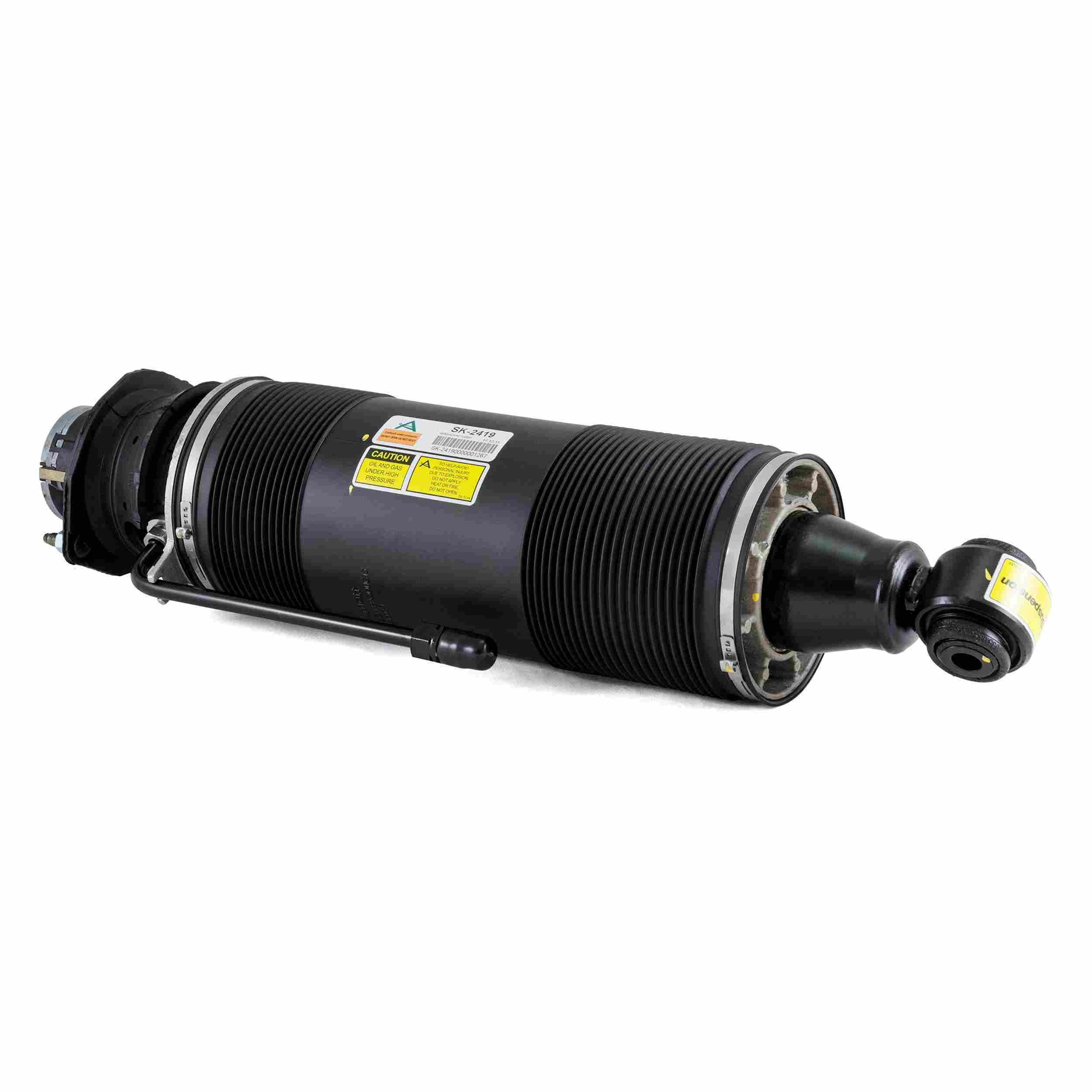 Arnott Industries Suspension Strut Assembly