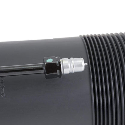 Arnott Industries Suspension Strut Assembly