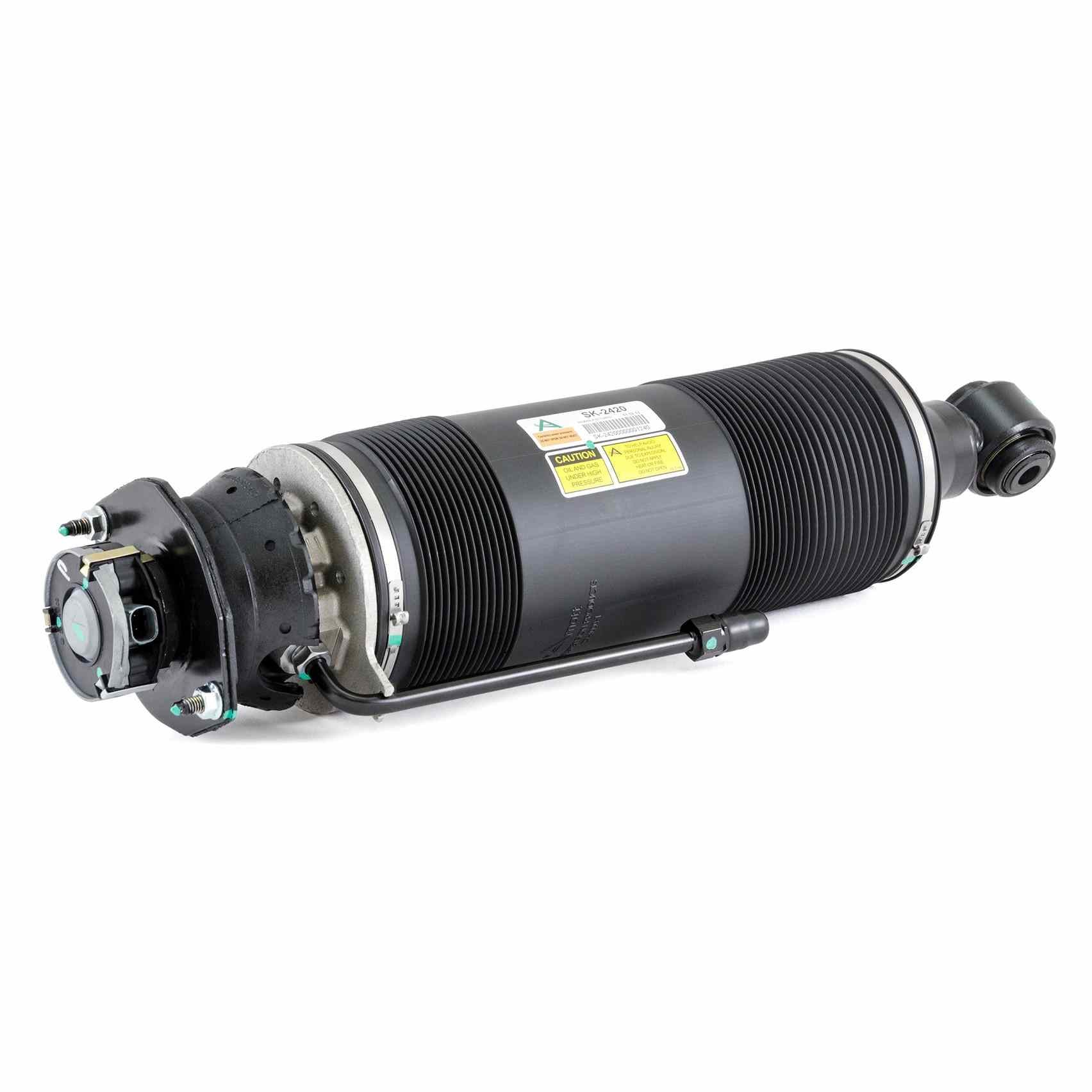 Arnott Industries Suspension Strut Assembly