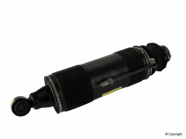 Arnott Industries Suspension Strut Assembly
