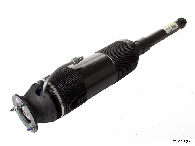 Arnott Industries Suspension Strut Assembly
