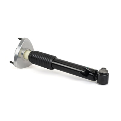 Arnott Industries Shock Absorber SK-3607