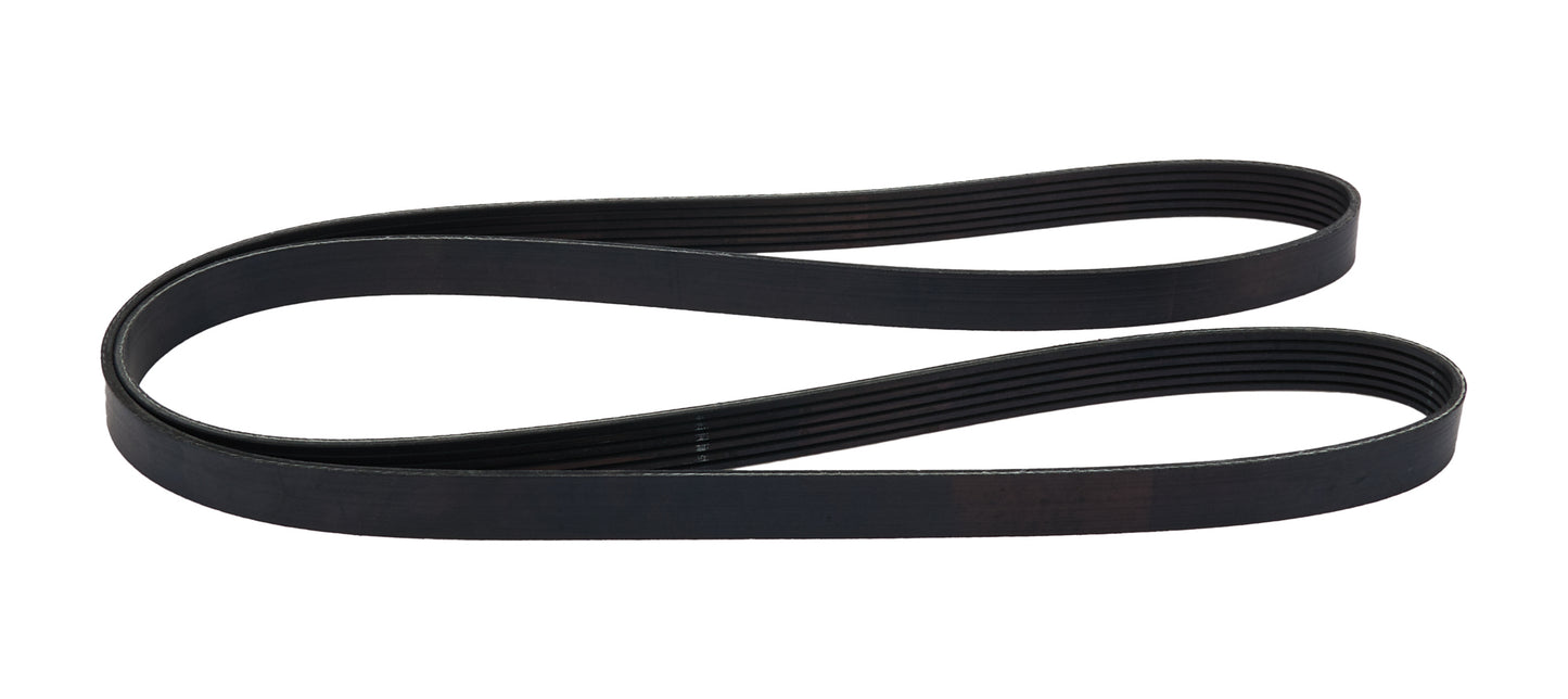 ALLSTAR PERFORMANCE Serpentine Belt Crown Vic w/ AC Delete Engines and Components Belts and Pulleys main image