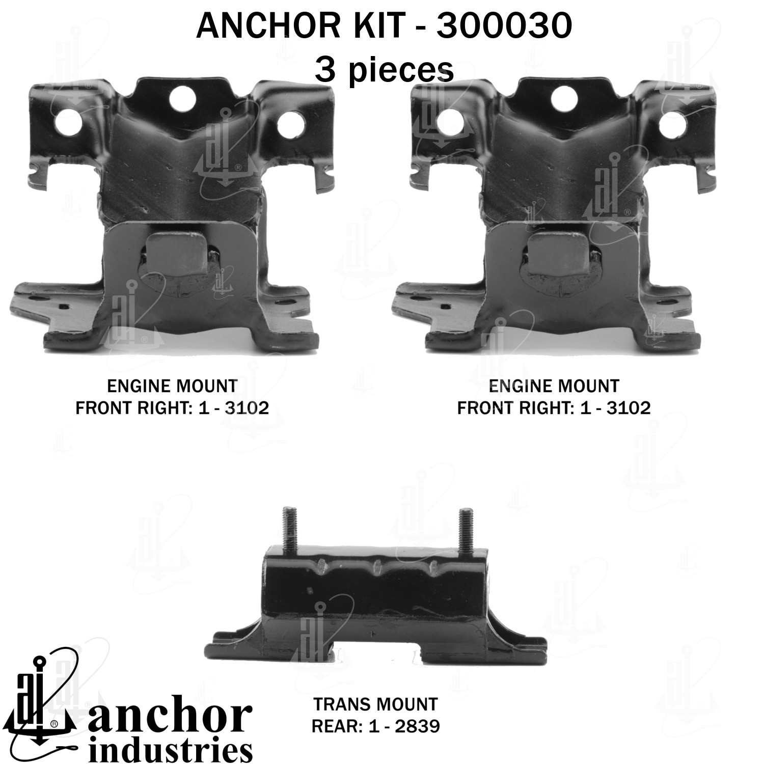 Anchor Engine Mount Kit 300030