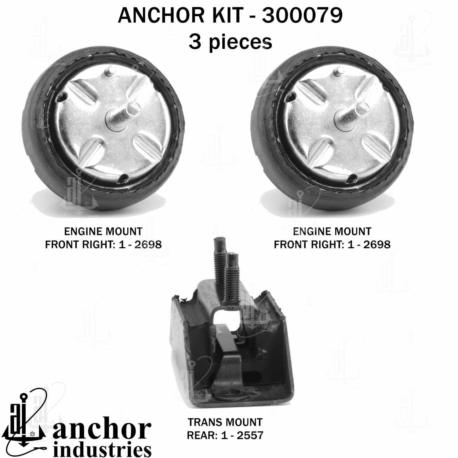 Anchor Engine Mount Kit 300079