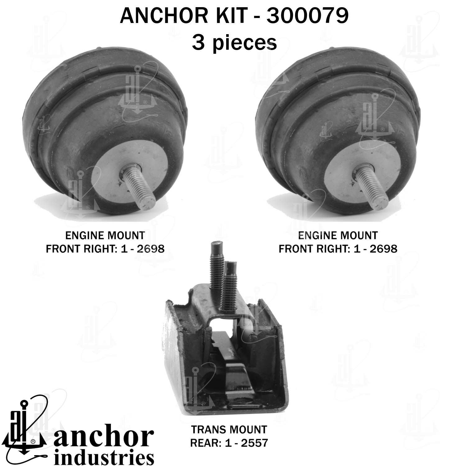 Anchor Engine Mount Kit 300079