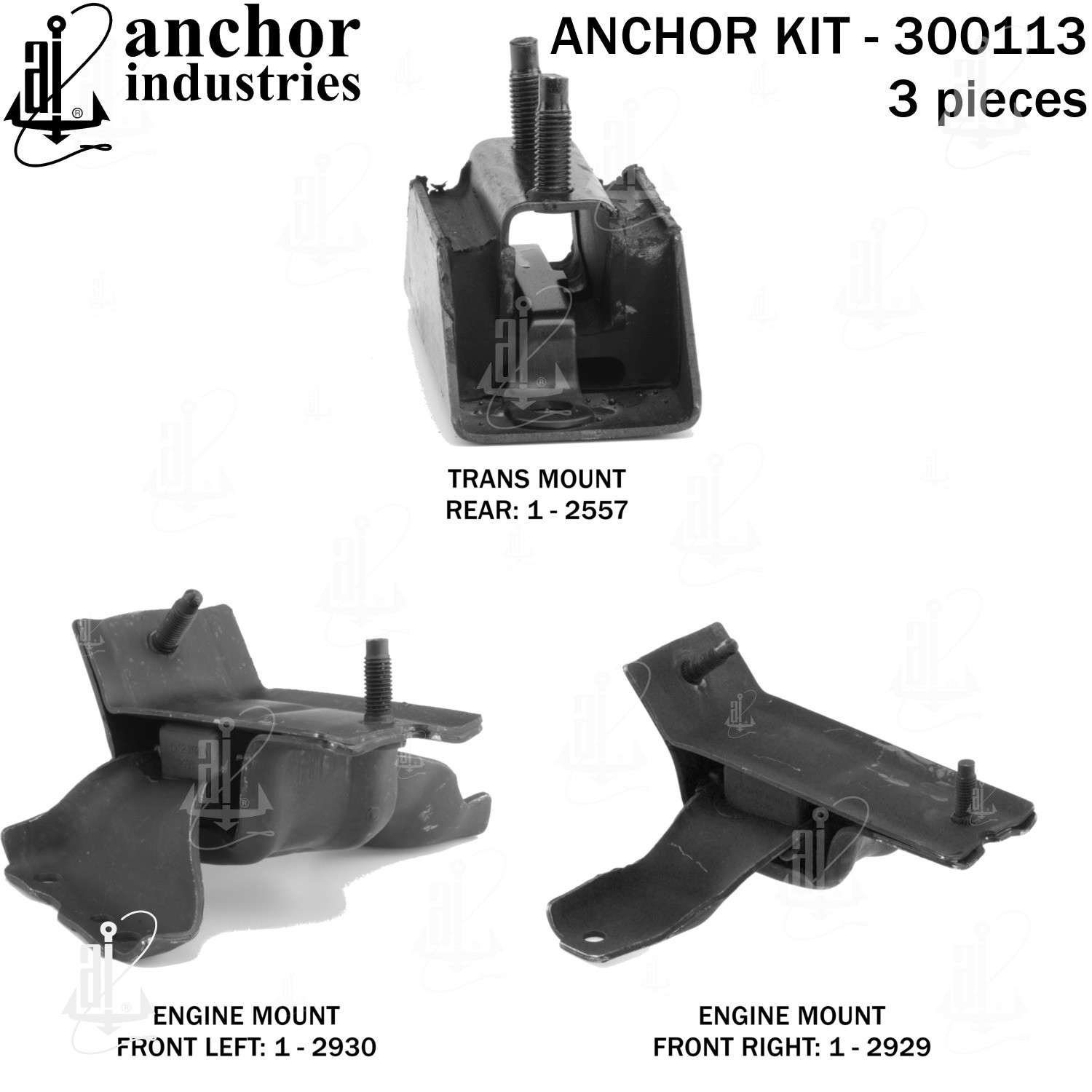 Anchor Engine Mount Kit 300113