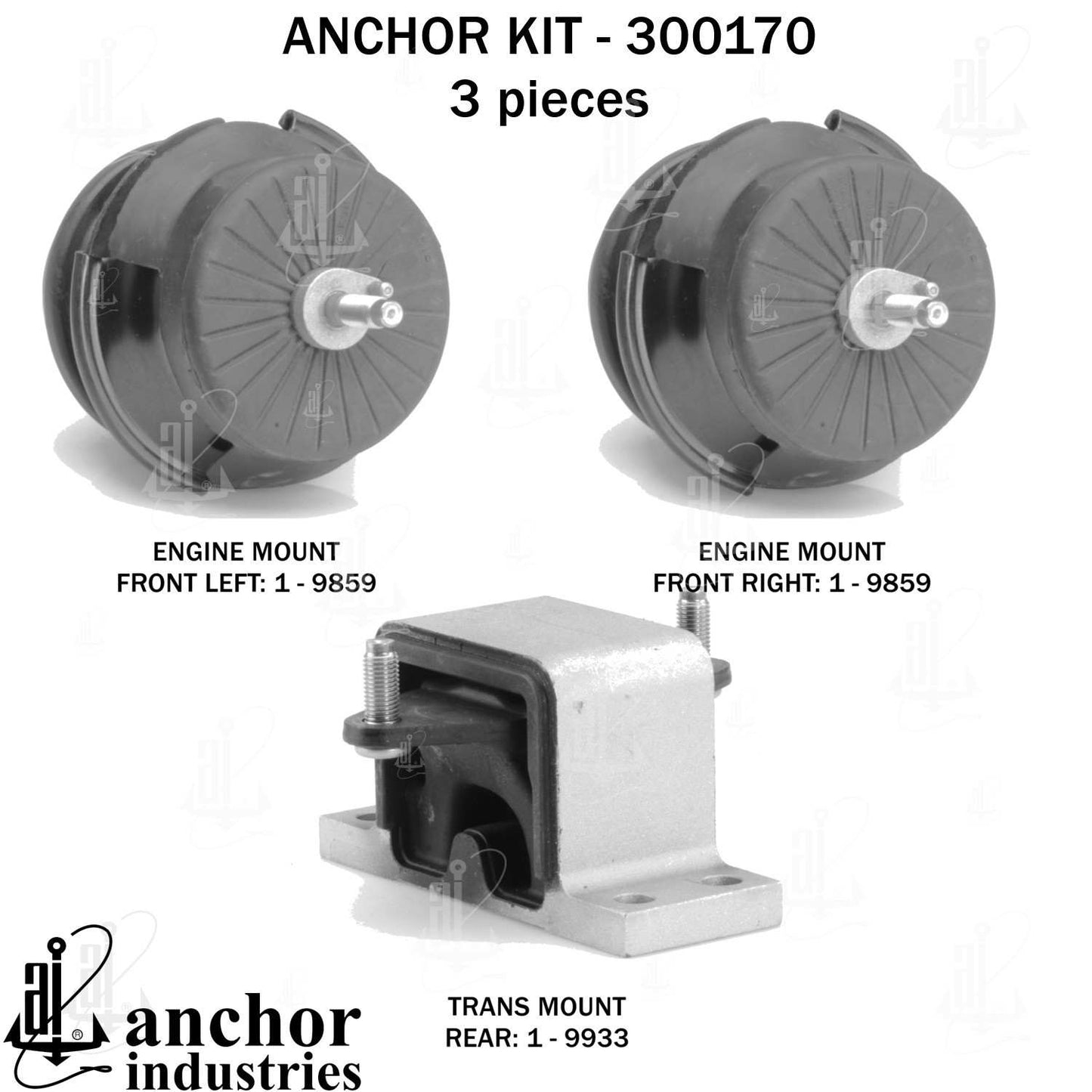 Anchor Engine Mount Kit 300170
