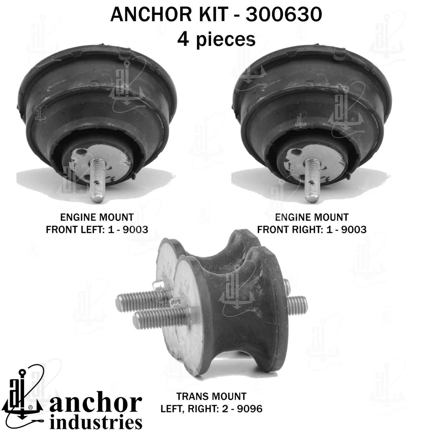 Anchor Engine Mount Kit 300630