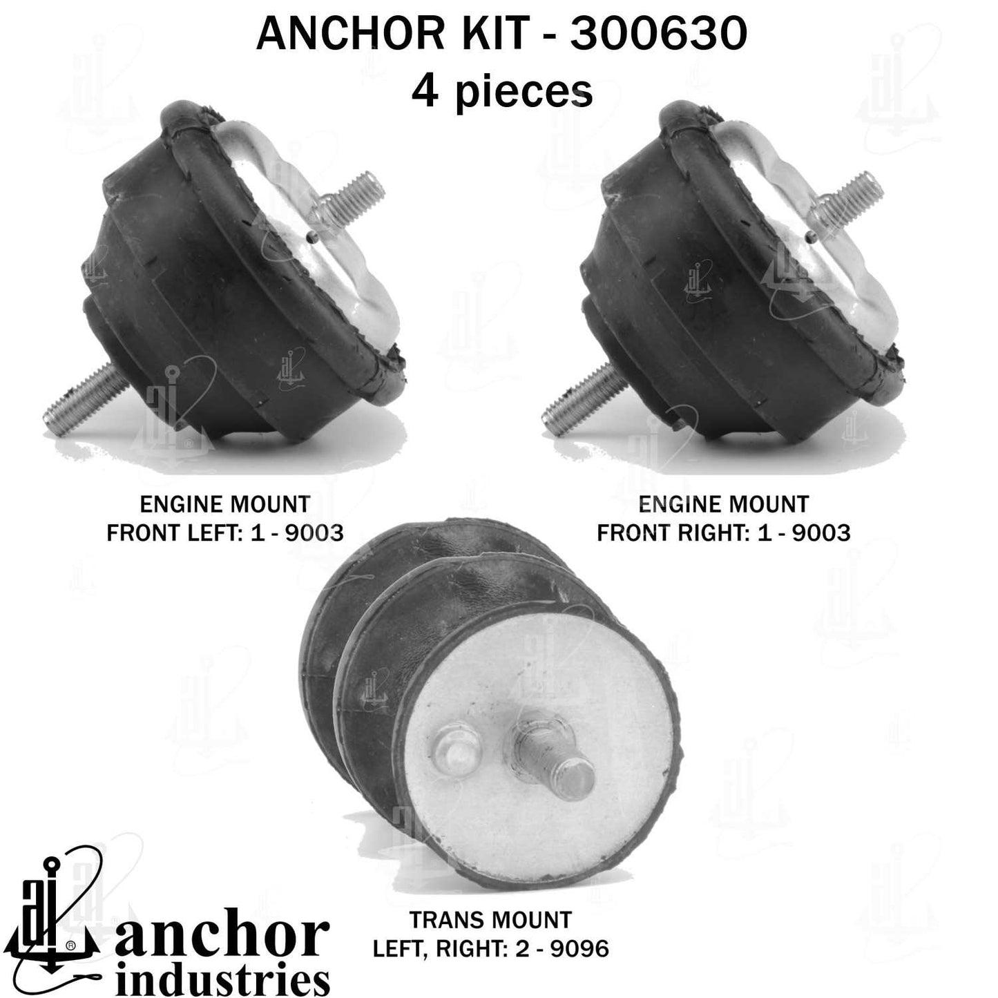 Anchor Engine Mount Kit 300630