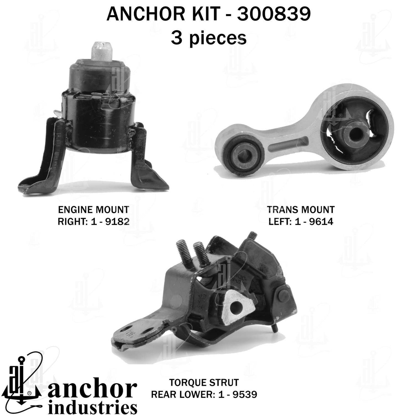 Anchor Engine Mount Kit 300839