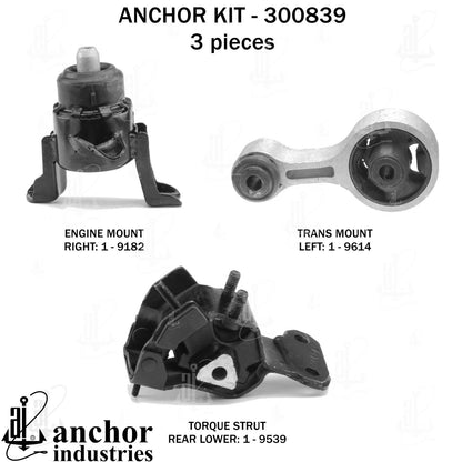 Anchor Engine Mount Kit 300839