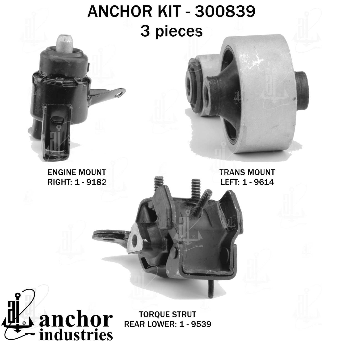 Anchor Engine Mount Kit 300839