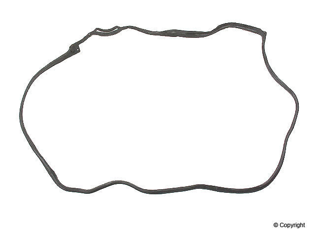 Aftermarket Door Seal