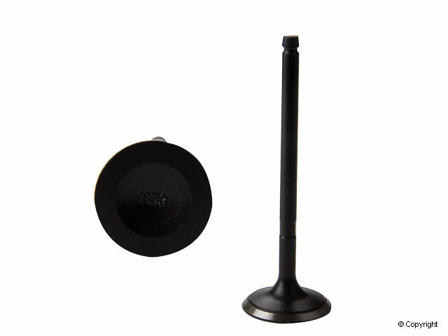 Aftermarket Engine Intake Valve