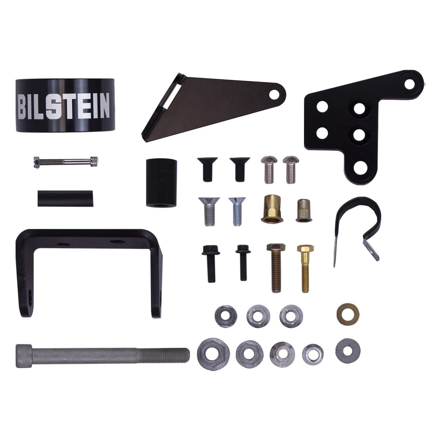 Bilstein B8 8100 (Bypass) - Suspension Shock Absorber 25-305364