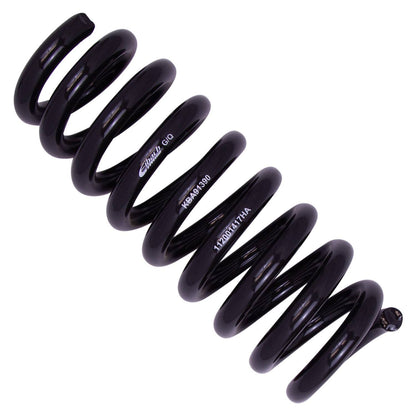 Bilstein Suspension Kit