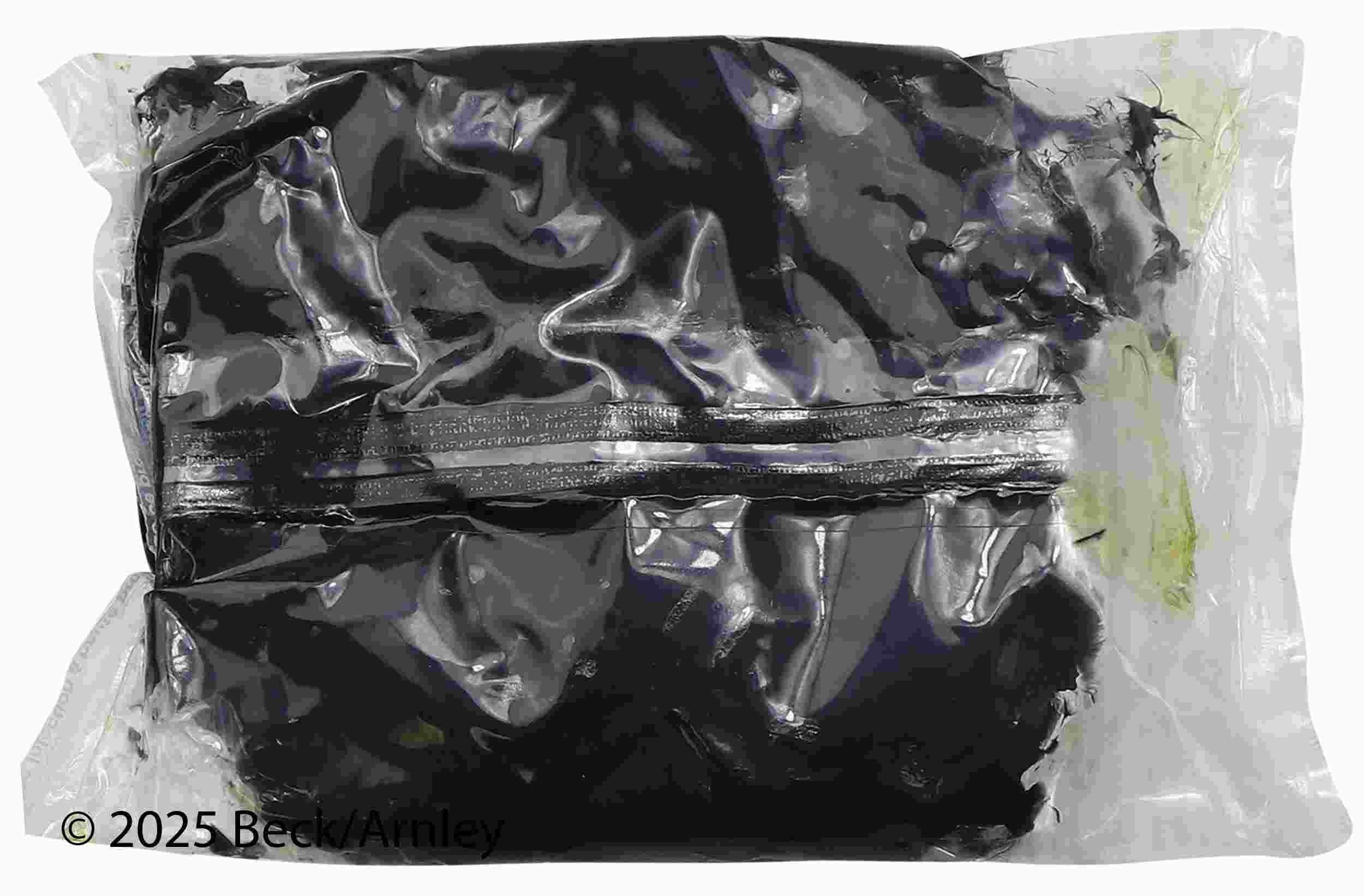 Beck/Arnley CV Joint Boot Kit 103-2503