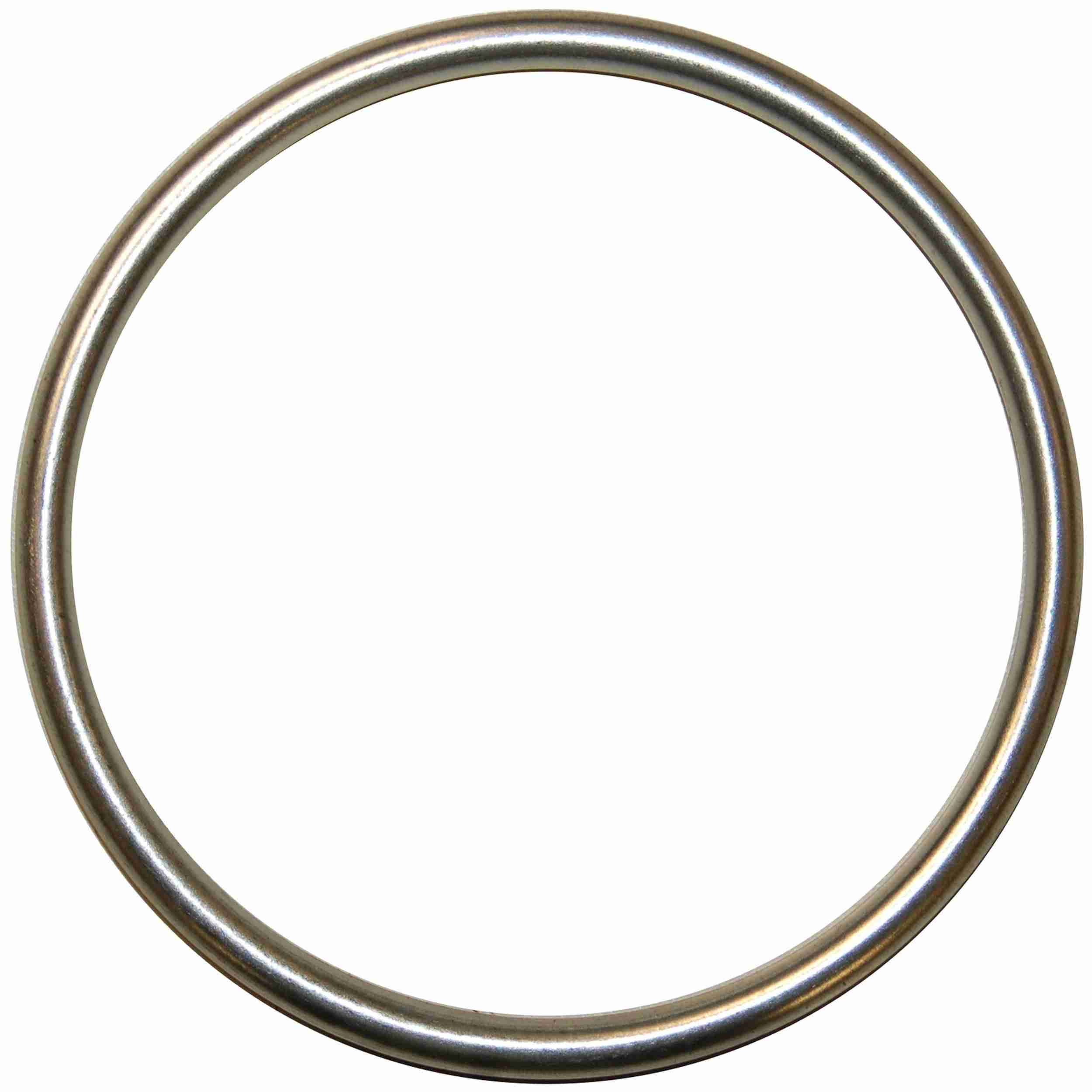 BRExhaust Exhaust Pipe Flange Gasket 256-1093