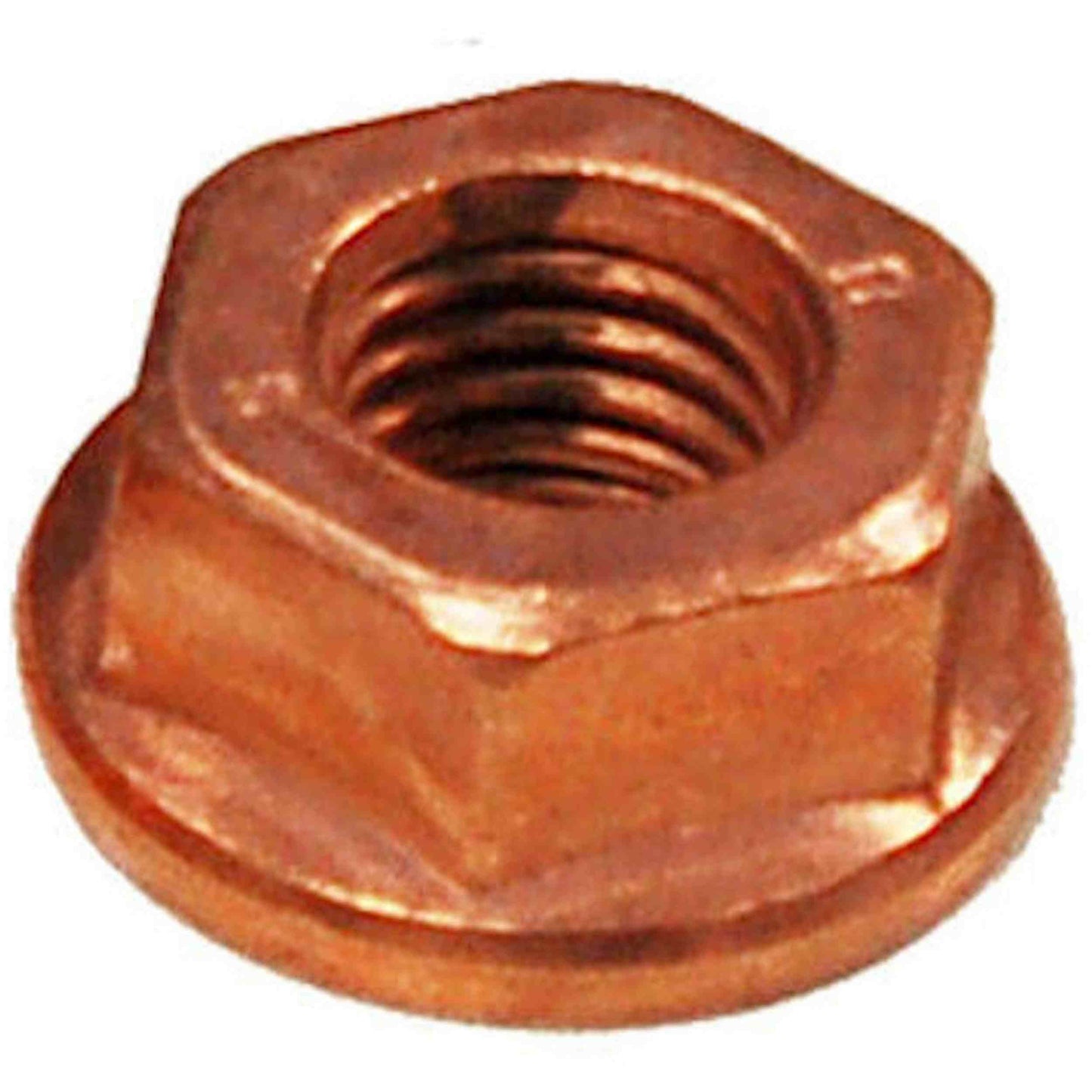 BRExhaust Exhaust Nut 258-040