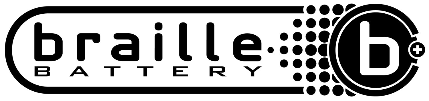 BRAILLE AUTO BATTERY Braille Catalog 2008 Books Videos and Software Books main image