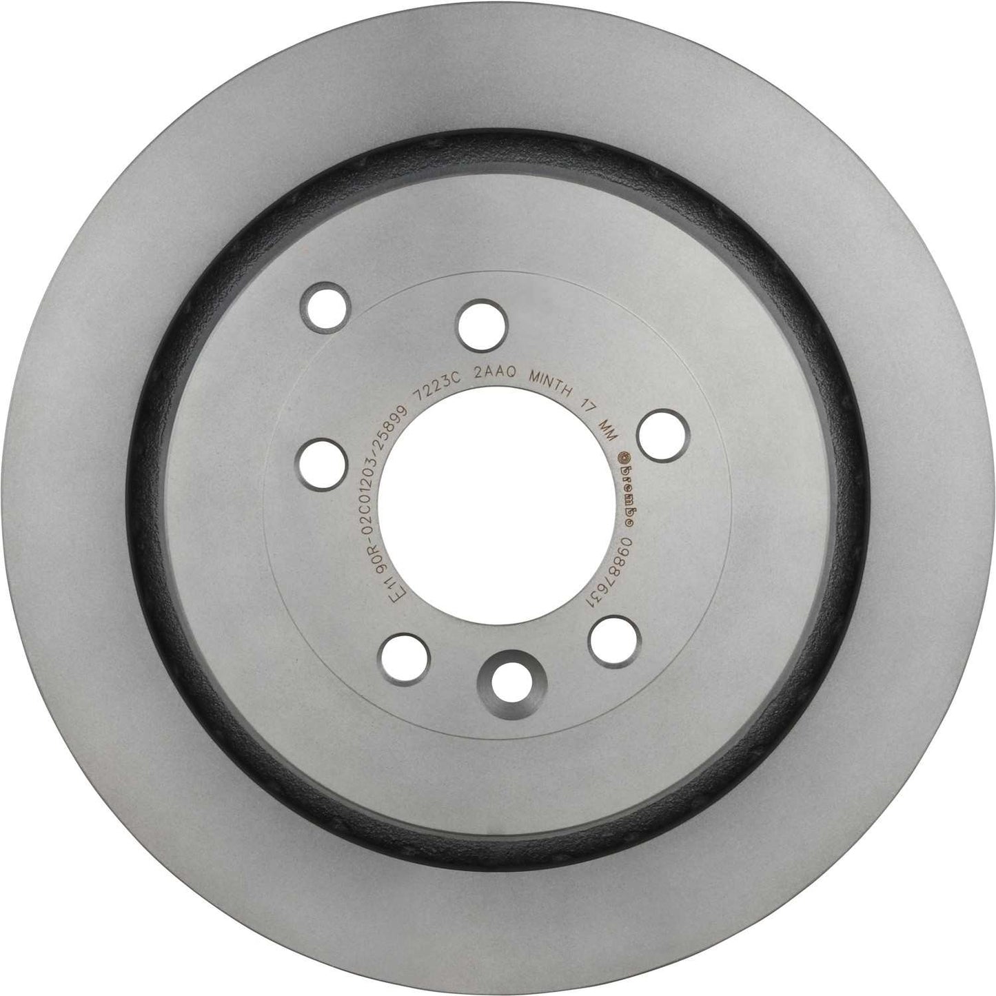 Brembo Disc Brake Rotor 09.8876.31