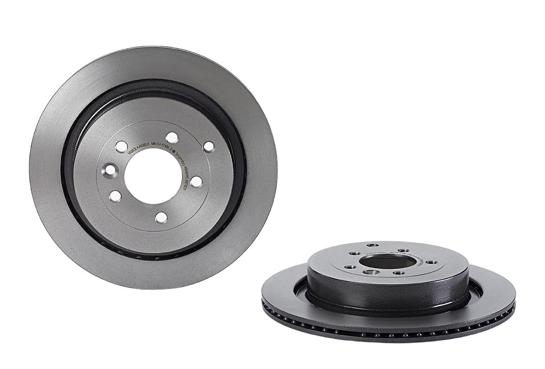 Brembo Disc Brake Rotor 09.8876.31