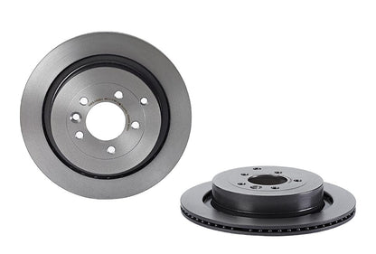 Brembo Disc Brake Rotor 09.8876.31