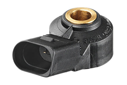 Bosch Ignition Knock (Detonation) Sensor 0261231146