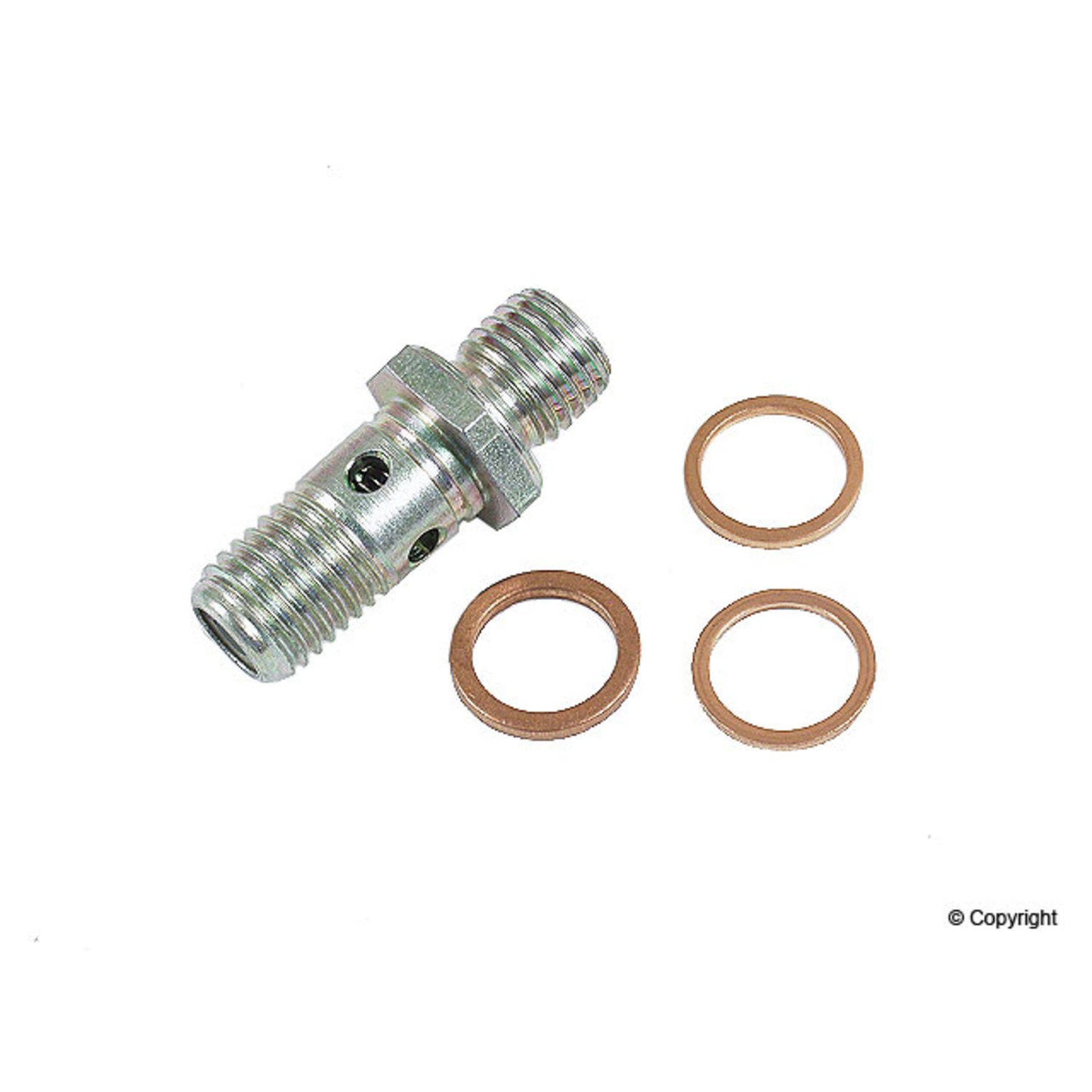 Bosch Fuel Pump Check Valve 1587010532
