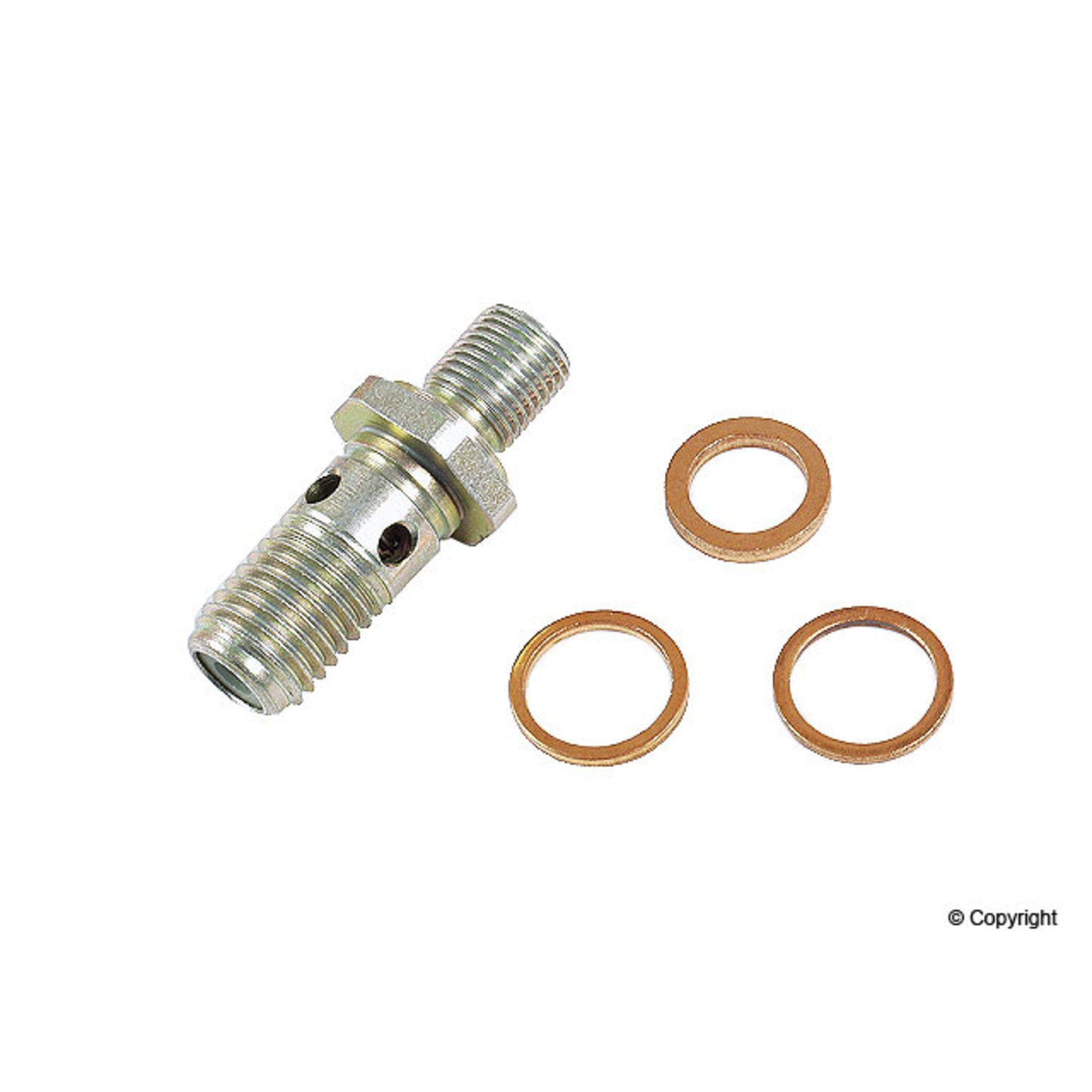 Bosch Fuel Pump Check Valve 1587010536