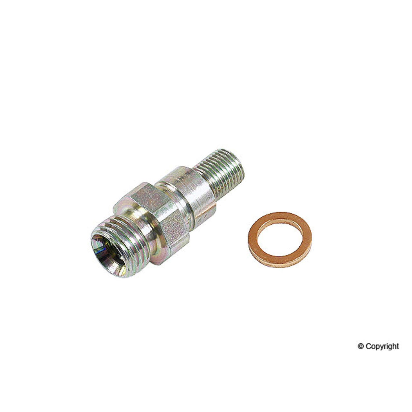 Bosch Fuel Pump Check Valve 1587010539
