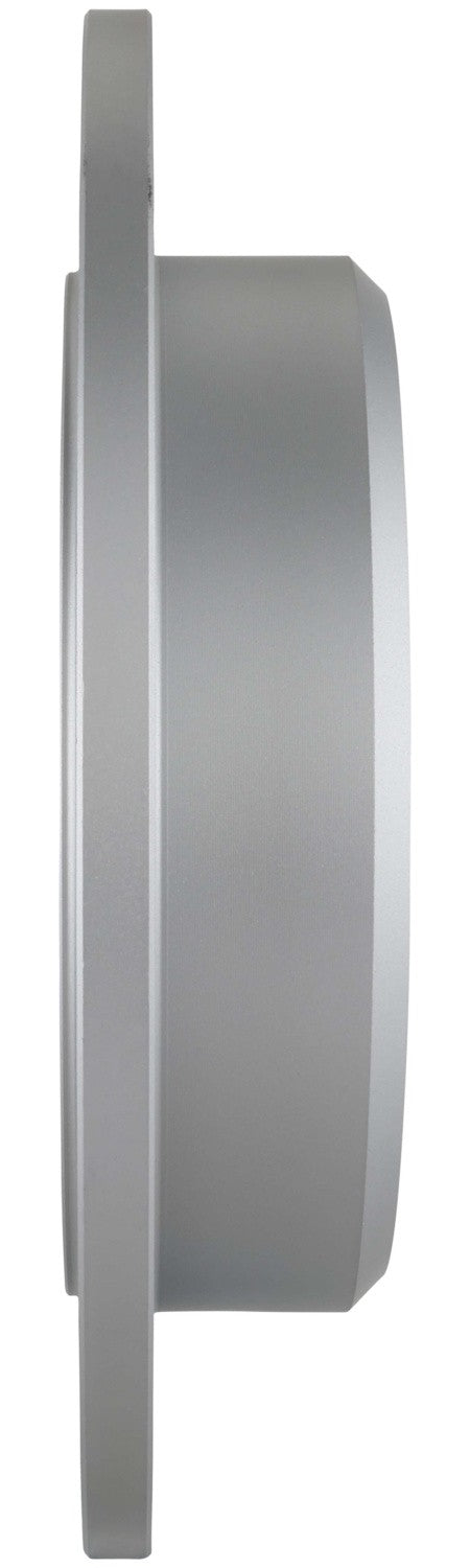 Bosch Disc Brake Rotor 20010309