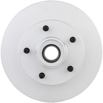 Bosch Disc Brake Rotor 20010338
