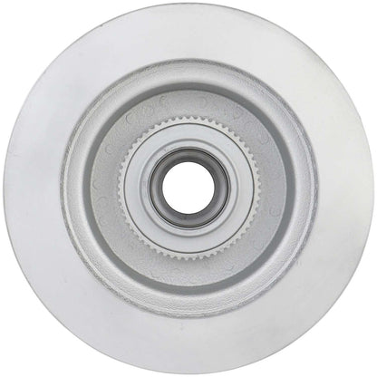 Bosch Disc Brake Rotor 20010342