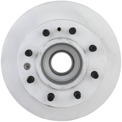 Bosch Disc Brake Rotor 20010342