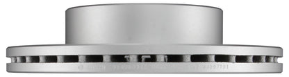 Bosch Disc Brake Rotor 20010345
