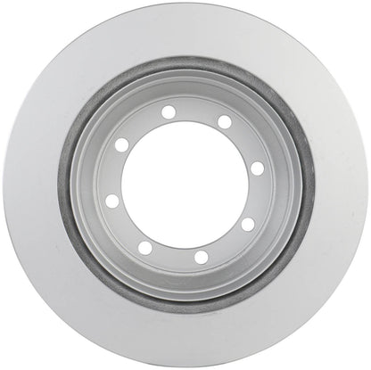 Bosch Disc Brake Rotor 20010366