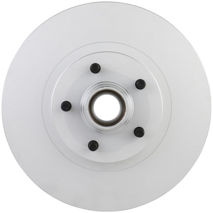 Bosch Disc Brake Rotor 20010370