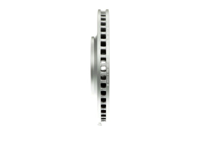 Bosch Disc Brake Rotor 20010432