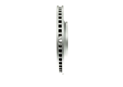 Bosch Disc Brake Rotor 20010432