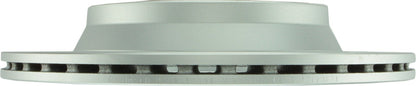 Bosch Disc Brake Rotor 20010436