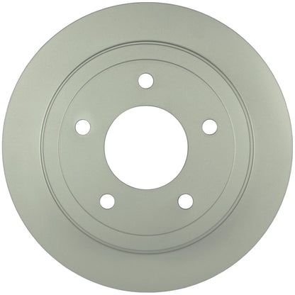Bosch Disc Brake Rotor 20010449